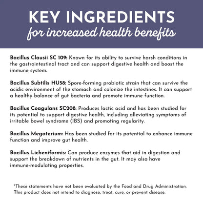 Just Ingredients Elderberry Lemonade 3-In-1 Probiotic Complex - Essentiallydestinyy