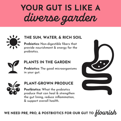 Just Ingredients Fruit Punch Probiotic (Kids) - Essentiallydestinyy