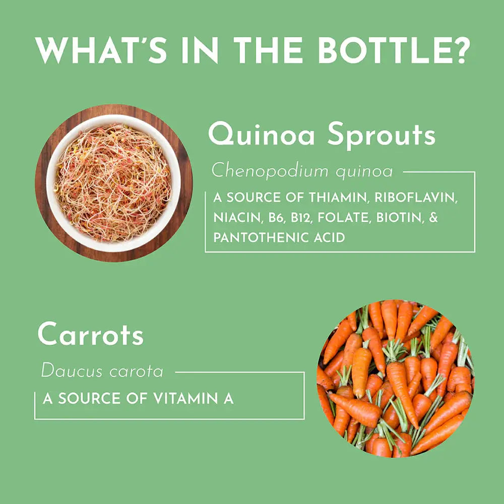 Just Ingredients Multivitamin Supplement - Essentiallydestinyy