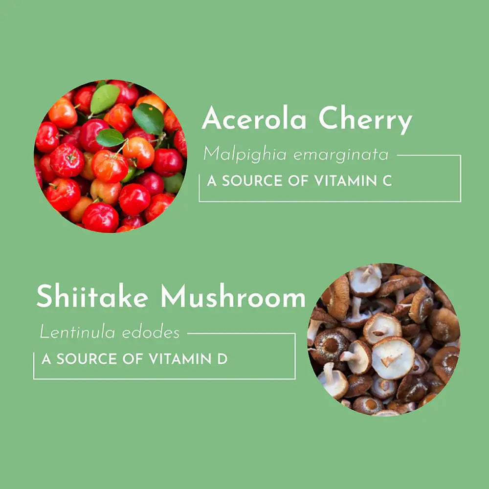 Just Ingredients Multivitamin Supplement - Essentiallydestinyy