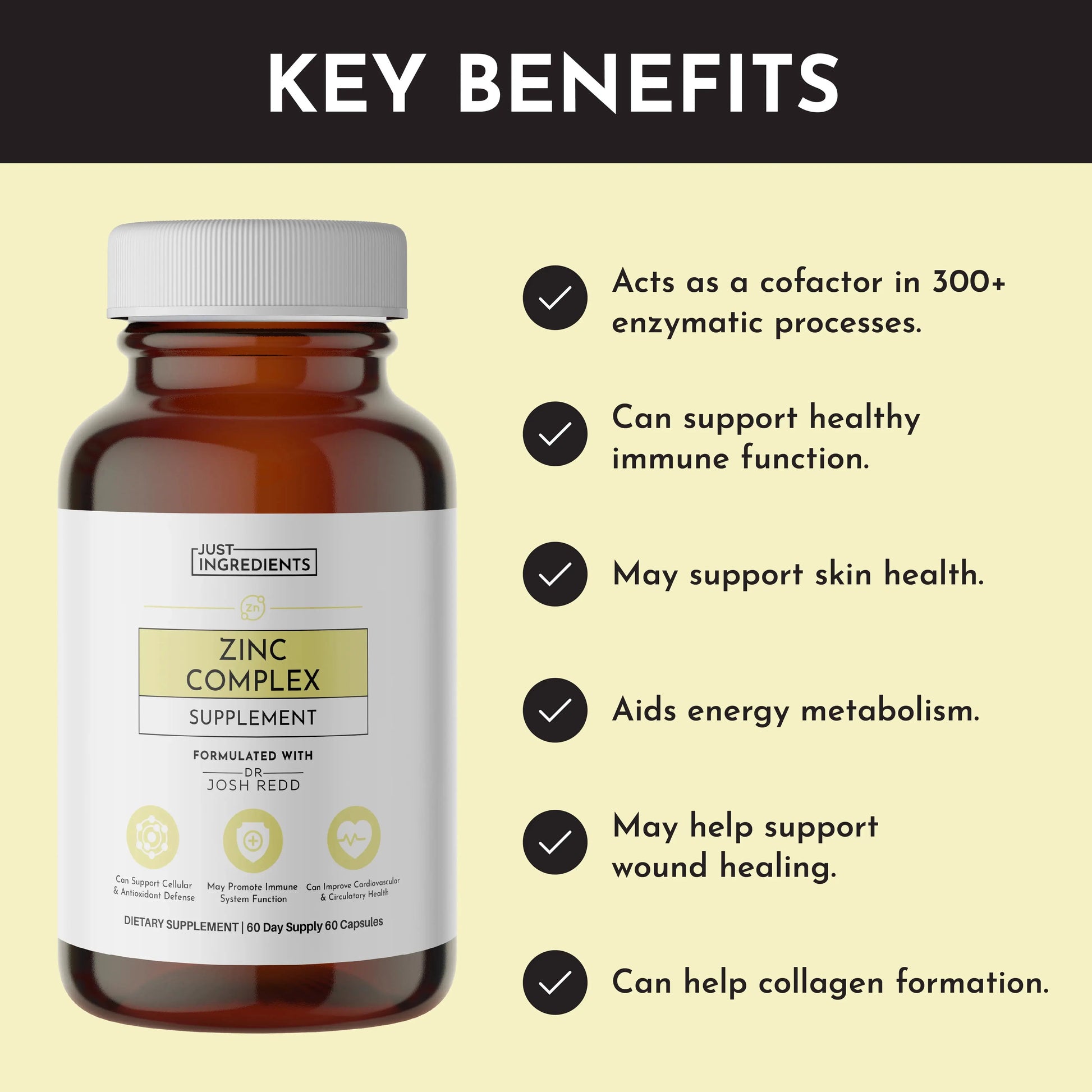 Just Ingredients Zinc Complex - Essentiallydestinyy