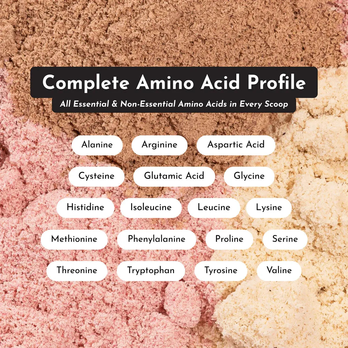 Just Ingredients | Protein Powders - Essentiallydestinyy