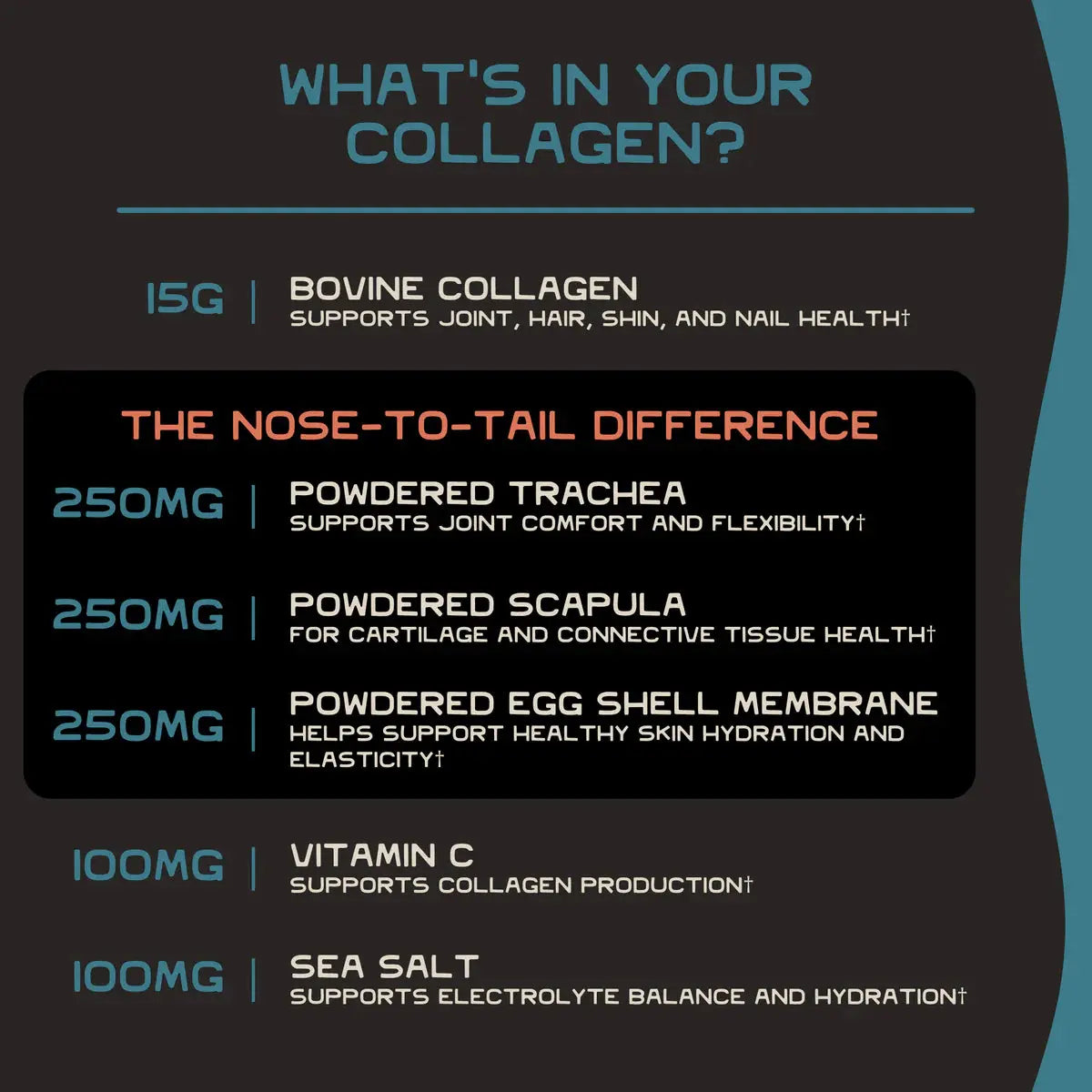 Lineage Grass-Fed Nose-to-Tail Collagen - Essentiallydestinyy
