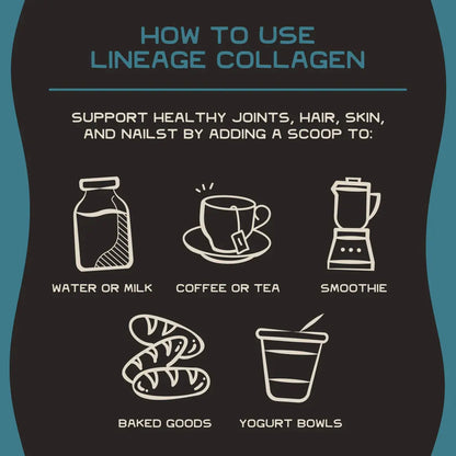 Lineage Grass-Fed Nose-to-Tail Collagen - Essentiallydestinyy