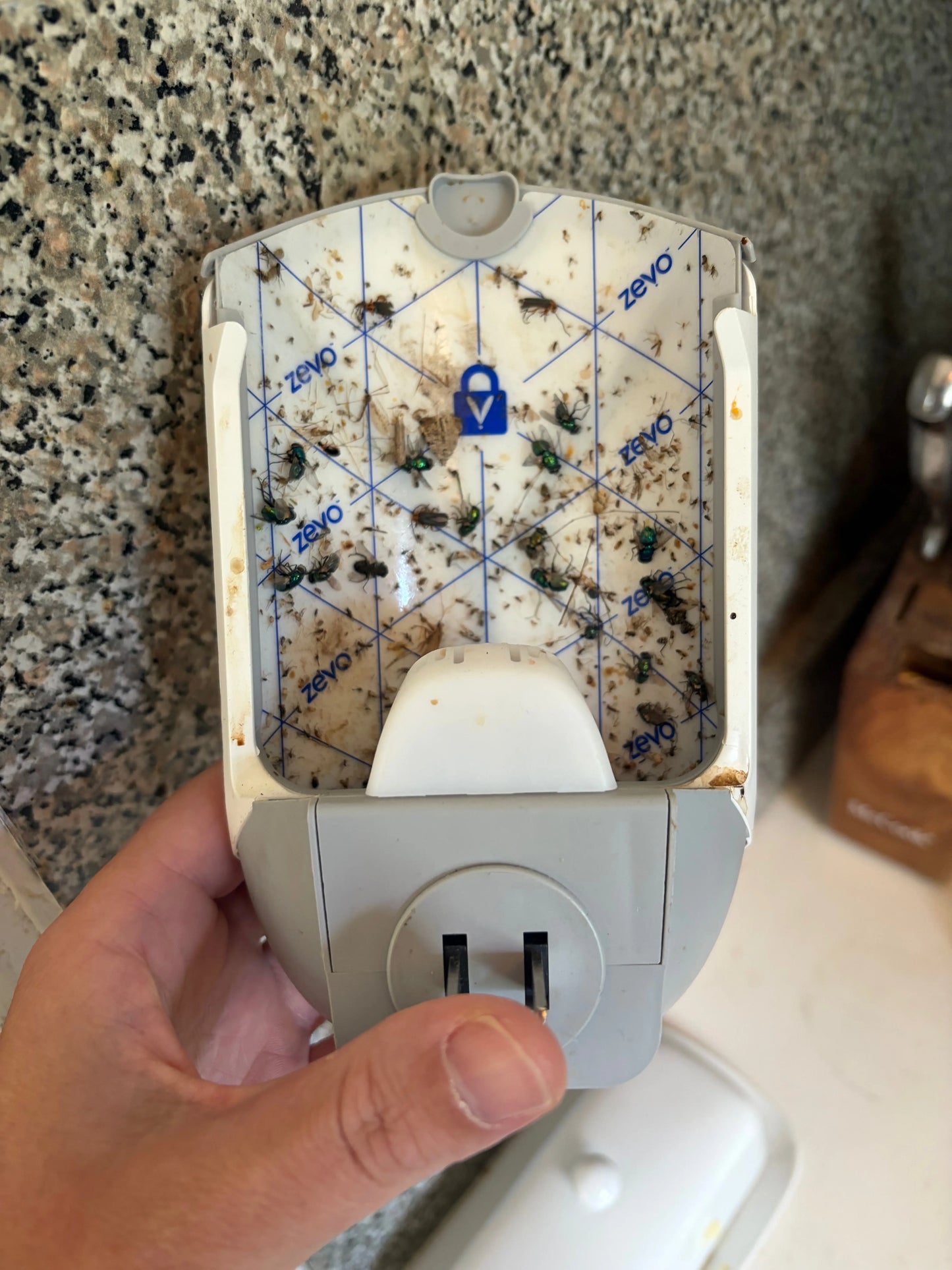 Zevo Flying Insect Trap - Essentiallydestinyy