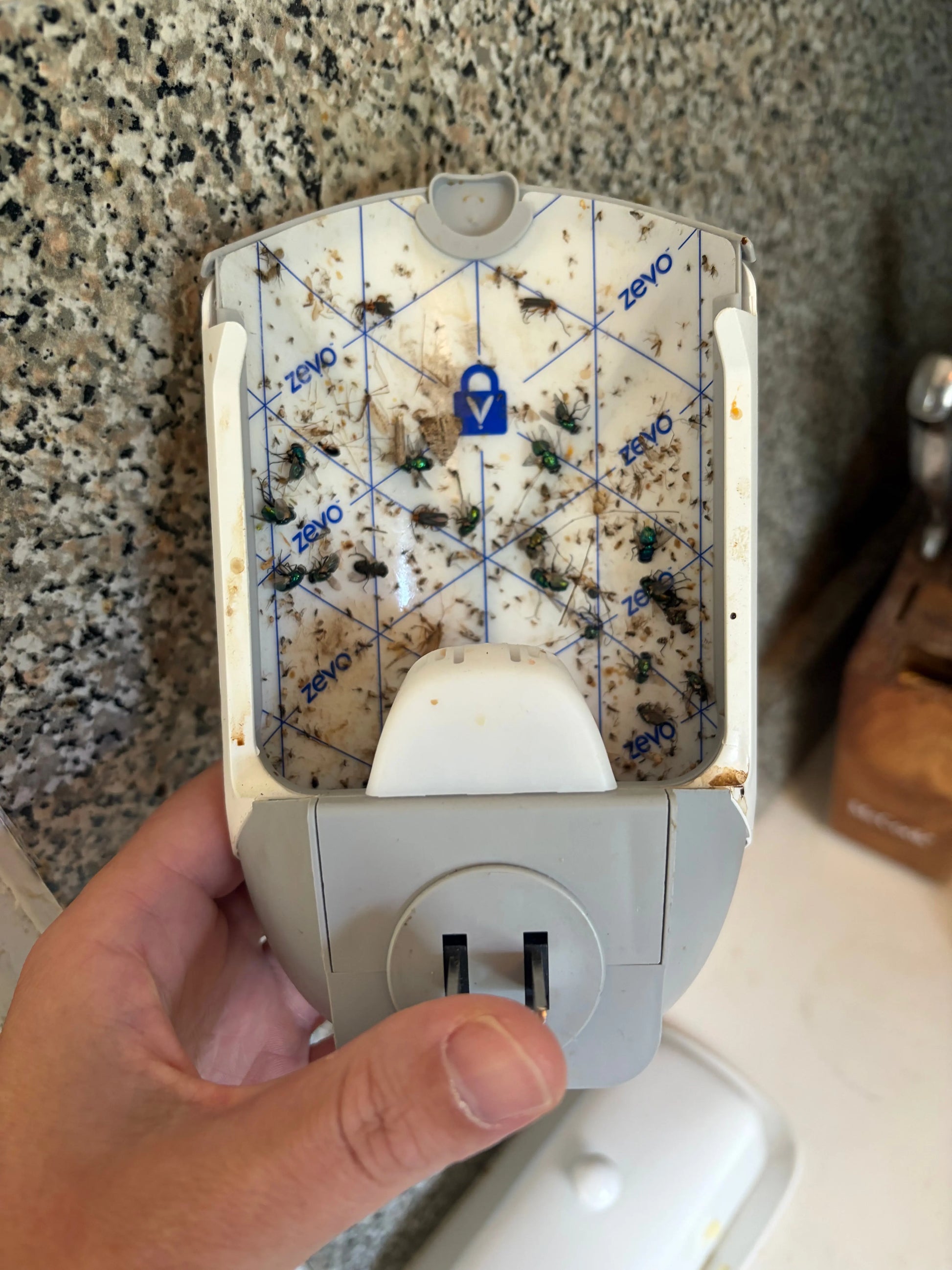 Zevo Flying Insect Trap - Essentiallydestinyy