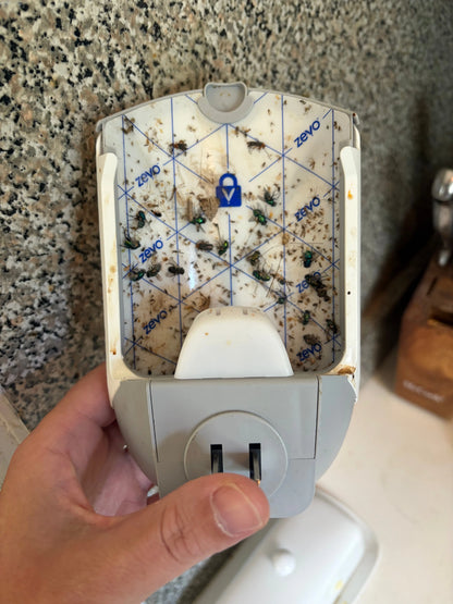 Zevo Flying Insect Trap - Essentiallydestinyy