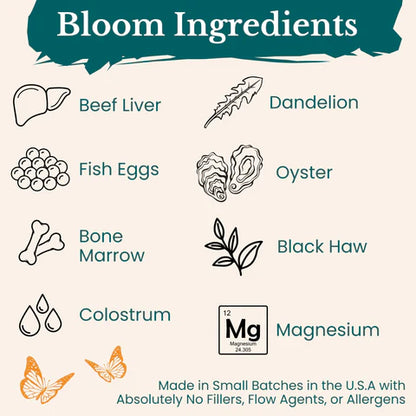 Birthright Bloom Prenatal